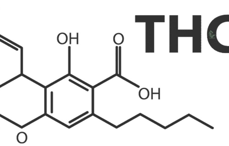 THCA Pre-Roll