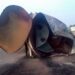 JUST-IN: 95 Die, 50 Injured Fetching Fuel From Fallen Petrol Tanker In Jigawa 5 JUST-IN: 95 Die, 50 Injured Fetching Fuel From Fallen Petrol Tanker In Jigawa