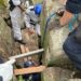 PICTORIAL: Woman Trapped Upside Down Between Rocks For 7 Hours In Australia 5 PICTORIAL: Woman Trapped Upside Down Between Rocks For 7 Hours In Australia