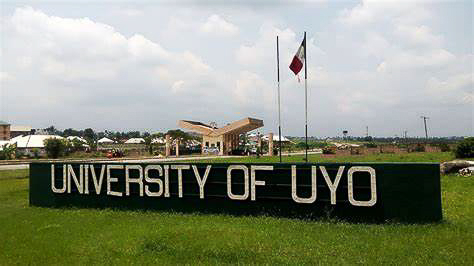Varsity Don Tasks Govts On Funding For Organic Chemistry Research 1 University of Uyo