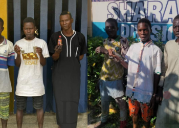 Police Arrest Notorious Thug ‘Gundura’, 14 Others In Kano