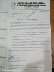 Kano Nurses Issue 15-day Strike Notice Over Unmet Demands