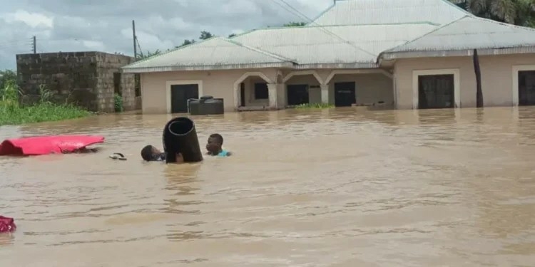 Flood Submerges Delta Community 1 WhatsApp Image 2024 10 23 at 14.43.14