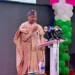 Nigeria Seeks Global Backing For Proposed Information Literacy Institute   