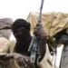 Bandits Abduct District Head, 8 Others In Kebbi