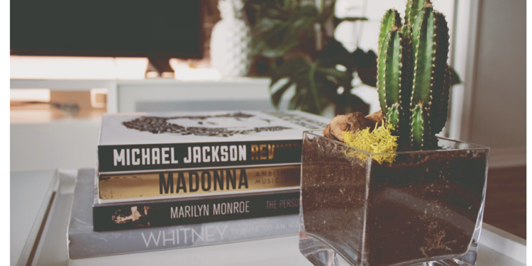 https://unsplash.com/photos/cactus-near-four-novel-books-JgU9niNBOgQ