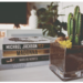 How Celebrities Are Shaping The Image Of Casinos 5 https://unsplash.com/photos/cactus-near-four-novel-books-JgU9niNBOgQ