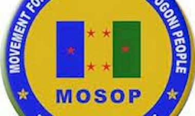 MOSOP Disowns Call For Removal of HYPEP Coordinator 1 image 380x226 66c09c73d8c37