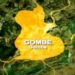 Gombe Approves N947m For Varsity Staff 5 Gombe Approves N947m For Varsity Staff