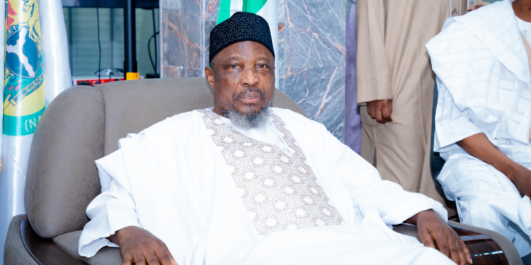 NAHCON Chairman, Prof Abdullahi Usman Saleh