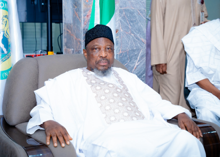 NAHCON Chairman, Prof Abdullahi Usman Saleh