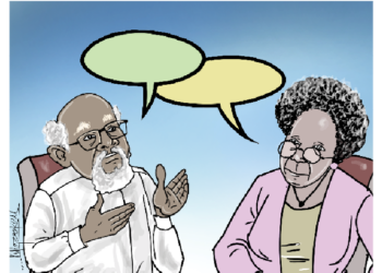 When Nigerian Professors Broaden Public Discourse