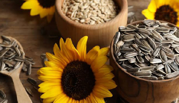 Seven Tips On Health Benefits Of Sunflower Seed 1 sunflower seed