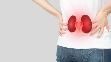 AMSH Completes 4 Kidney Transplants 1 CTA2 MTx BKV Shutterstock 2165676597 430x241 1
