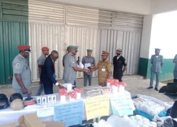 Customs Intercepts Live Turtles