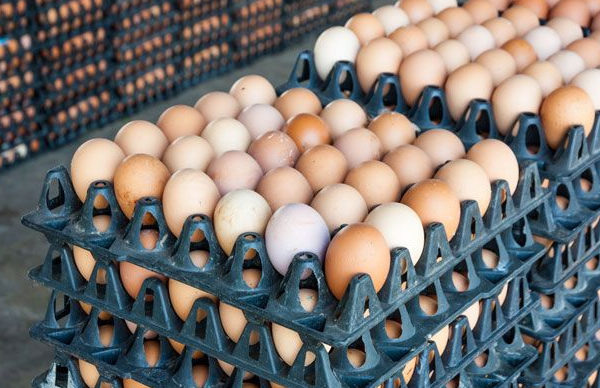 Man Apprehended For Using Fake Alerts To Buy Eggs 1 Eggs