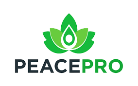 Group Launches Global Peace Criteria For Leadership Assessment 1 Foundation for Peace Professionals PeacePro