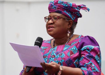 WTO DG: Adebayo Hails Okonjo-Iweala’s Reelection, Seeks Improved Global Trade