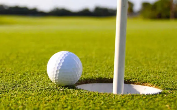 300 Golfers Storm Kaduna For CDS Musa National Peace, Unity Tourney 1 Golf e1549713242447