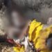 Electric Cable Thief Electrocuted In Gombe