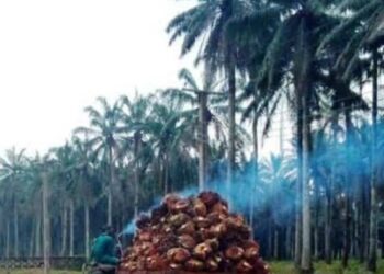 Group Urges Agric Minister To Wade Into NIFOR Leadership Crisis