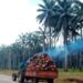 Group Urges Agric Minister To Wade Into NIFOR Leadership Crisis 5 Group Urges Agric Minister To Wade Into NIFOR Leadership Crisis