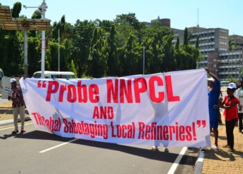 CSOs In NASS, Demand End To Petrol Importation, NNPCL Probe