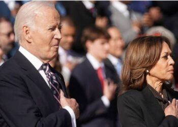 Biden, Harris Make First Public Outing Together After US Poll At Veterans Day