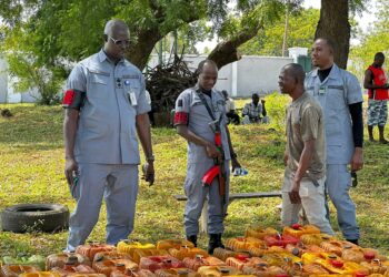 Customs’ Operation Whirlwind Seizes 67,000 Litres Of Petrol Worth N84.8m