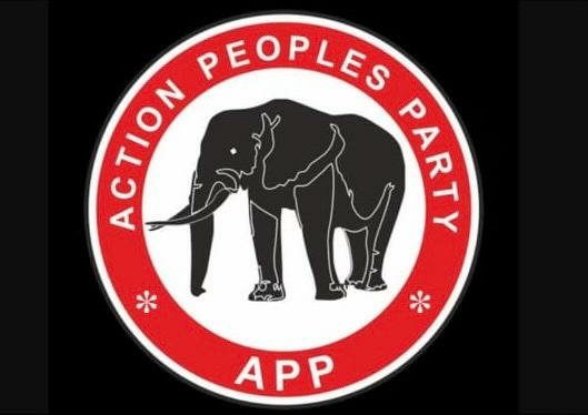 APP Wins Councillorship Seat In Jigawa After Historic Rivers Feat 1 IMG 20241112 WA0012