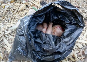 Day-old Baby Found Dead In Bauchi Refuse Dump
