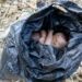 Day-old Baby Found Dead In Bauchi Refuse Dump 5 Day-old Baby Found Dead In Bauchi Refuse Dump