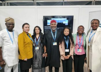 COP29: Rep Advocates Tax Breaks, Grants For Youths In Renewable Energy