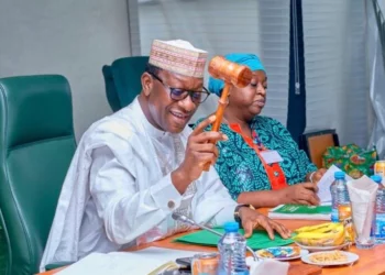 Tax Bill Will Strengthen Economic Reforms – Jibrin
