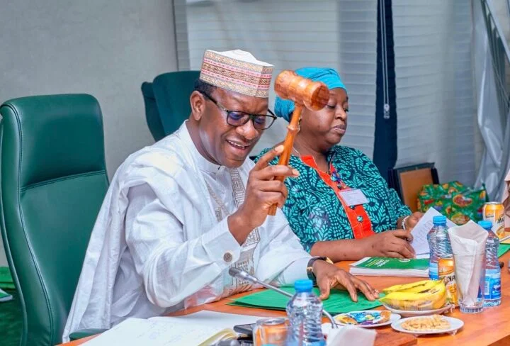 Tax Bill Will Strengthen Economic Reforms – Jibrin 1 IMG 3410 e1731348849307