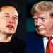 Trump Appoints Billionaire Elon Musk To Lead New Dept For Reforms