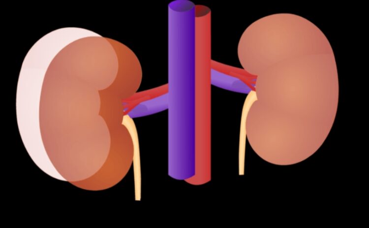 kidney disease