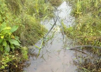 Vandals Attack, Disrupt Ongoing Repairs Of Ahoada-Yenagoa 132kV Power Line