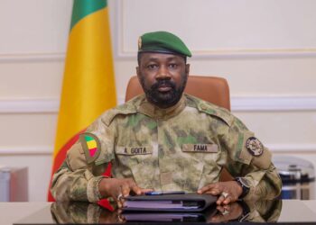 Mali’s Civilian Prime Minister Sacked For Criticising Military Rule