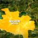 Minna Residents Jittery As Urban Crimes Take Root In Metropolis