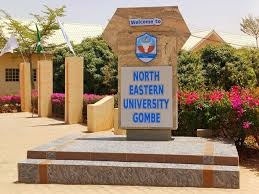 North-Eastern Varsity Matriculates 450 Students