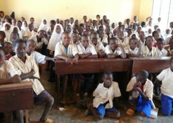 Jigawa Schools Lack Teachers, Learning Materials – PLANE