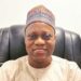 Why There Is Growth ln GDP, Reduction ln Unemployment – Statistician General