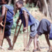 Northern States Intensify Fight Against Polio Spread 5 Northern States Intensify Fight Against Polio Spread
