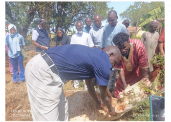 Anthrax: Kwara To Vaccinate 330,000 Animals