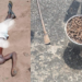 PICTORIAL: Troops Conduct Clearance Operations In South-East, Kill IPOB Members 5 PICTORIAL: Troops Conduct Clearance Operations In South-East, Kill IPOB Members