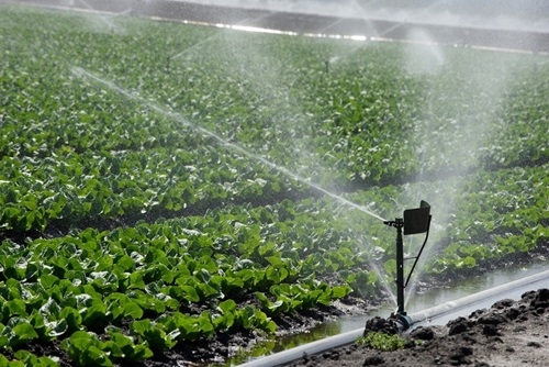 Katung Boosts Irrigation Farming In Southern Kaduna With Water Pumping Machines 1 Water irrigation