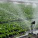 Katung Boosts Irrigation Farming In Southern Kaduna With Water Pumping Machines 5 Katung Boosts Irrigation Farming In Southern Kaduna With Water Pumping Machines