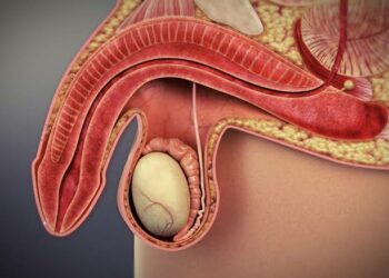 Pharmaceutical Firm Breaks New Ground With Innovative Prostate Treatment