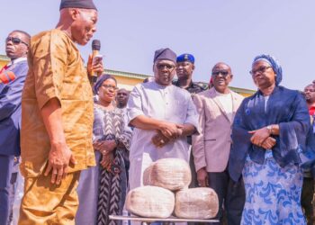 PICTORIAL: NDLEA Intercepts 626 Blocks Of Cannabis In Adamawa